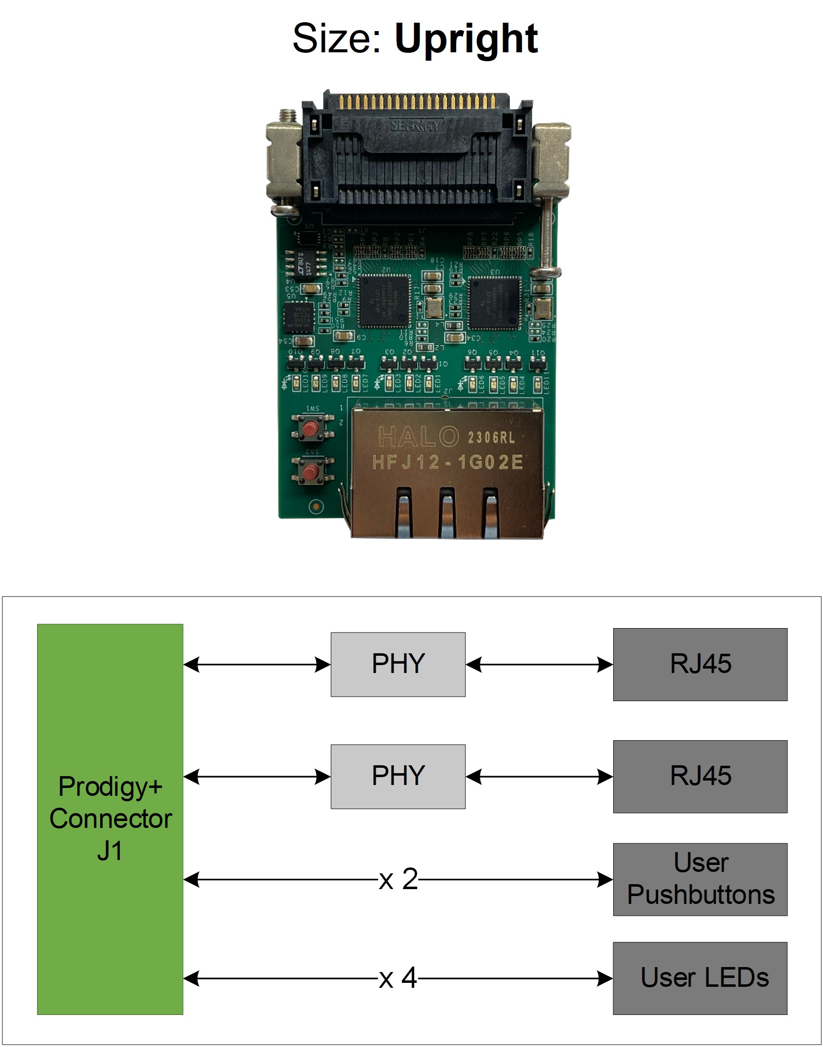 Prodigy+_2_Channel_RGMII_PHY_Module.jpg Prodigy+_2_Channel_RGMII_PHY_Module.jpg